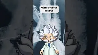 Miniature : Des mammouths sous la glace