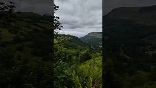 Miniature : QUELLE BELLE CAMPAGNE IRLANDAISE ! 🏞️🐿️☘️✨ #nature #naturebeauty #naturelovers #irlande #travel