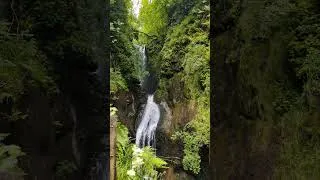 Miniature : CASCADE DANS PETITE FORÊT MAGIQUE ! 🌊☘️✨ #nature #naturebeauty #naturelovers #waterfall #beautiful