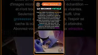 Miniature : Le miracle de la vie après 20 ans d'attente