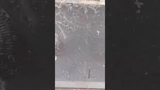 Miniature : Les premiers flocons de neige  à Paris