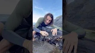 Miniature : Que manger à la plage ?! 🏝️