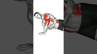 Miniature : obtenir de gros triceps bien définis sans matériels