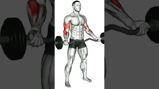 Miniature : développé rapidement et facilement vos biceps