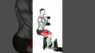 Miniature : obtenir des jambes plus fortes et musclées (exercices avec haltères) #sportmaison #jambes #force