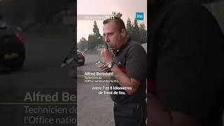 Miniature : Après les récents incendies criminels à Fontainebleau, retour sur l'affaire Patrice Nirlo
