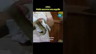 Miniature : 1992 : Maïté assome une anguille #Shorts #INA #Maïté #Culte