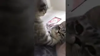 Miniature : POV : Moi qui ... hésite sur mon humeur du jour !