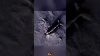 Miniature : La mystérieuse épave du grand nord Canadien
