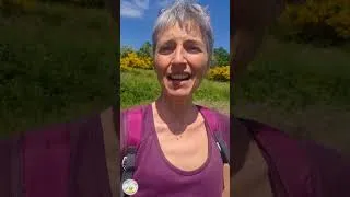 Miniature : Guérir une allergie au pollen 🌾 C'est possible 🌼 | Mon témoignage
