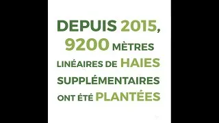 Miniature : INFOLYS | Savez-vous pourquoi les haies sont si importantes ?