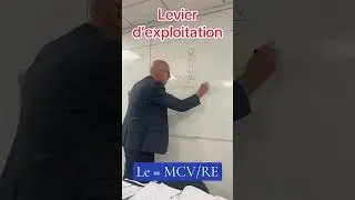 Miniature : LEVIER OPÉRATIONNEL EN DCG