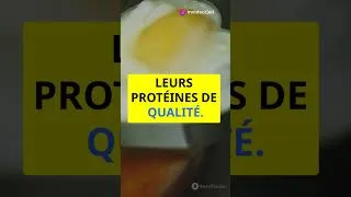 Miniature : Ce Super-Aliment Qui Fait Fondre Les Graisses ! 🍳💪