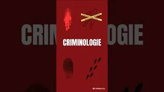 Miniature : QUIZ CRIMINOLOGIE – Que cherche un profileur en priorité ?