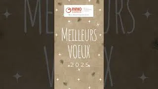 Miniature : Voeux 2025