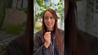Miniature : Nos engagements sociaux et sociétaux ! #rse #entreprise #innovation #information #interview