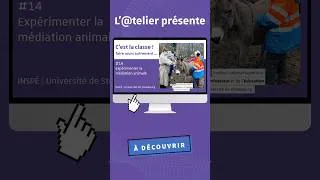 Miniature : Short (vidéo courte | Expérimenter la médiation animale | C'est la classe #14