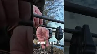 Miniature : Nouvelle vidéo à retrouver sur notre chaîne  #carpe #carpfishing #fishing #fish #pêche #angler