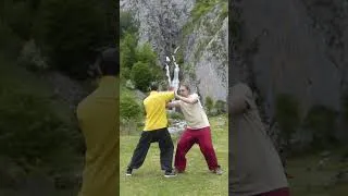 Miniature : Application martiales du Tuishou avec Georges Favraud & Mathias Cohen