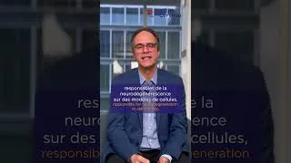 Miniature : Quels sont les traitements contre la maladie de Parkinson ?
