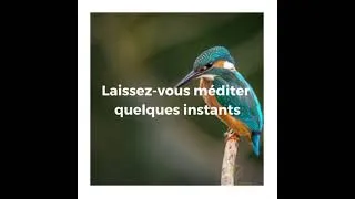 Miniature : Short Meditation - Calm & Relaxing  meditation