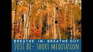 Miniature : Short Meditation - Calm & Relaxing Autumn Forest meditation
