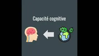 Miniature : Capacités cognitives