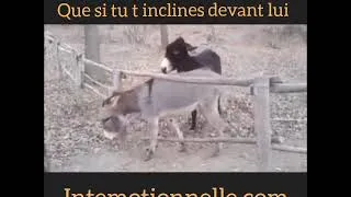 Miniature : Motivation et Solution... Un bel exemple