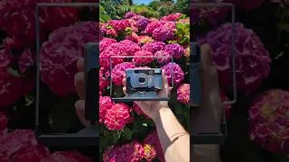 Miniature : Un appareil argentique pour la macrophotographie !