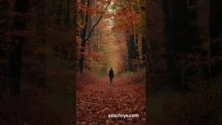 Miniature : Ballade d'Automne 🍁 Soochrys  Quand l'Essentiel Sublime la Création Guitare #soochrys #guitar #music