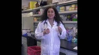 Miniature : Journée des maladies rares | Dre Emilia Falcone