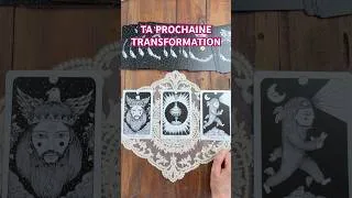 Miniature : 🌷✨TIRAGE SUR TA PROCHAINE TRANSFORMATION, LIBÈRE TOI DES PEURS💕 #guidance #tirage #tiragedujour