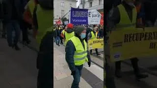 Miniature : Manifestation à Tours contre le pass vaccinal et la politique de Macron