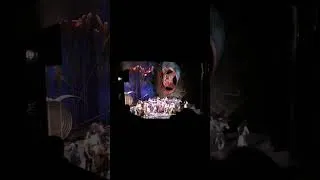 Miniature : OLGA PERETYATKO - STEFAN POP - GEORGE PETEAN - DONIZETTI - ELISIR D’AMORE