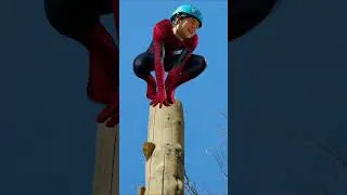 Miniature : Ivan accomplit une tâche dangereuse !