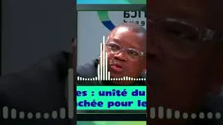 Miniature : RHDP : la succession s'accélère, le chaos commence ! (Partie 1)