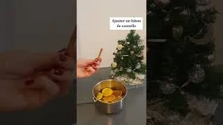 Miniature : Boisson sans alcool de Noël : Jus de pomme épicé 🍎
