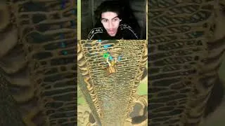 Miniature : Vous pensez que j'ai du SKILL ? 😂 -  Zelda BOTW