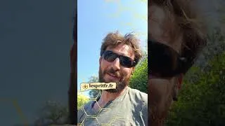 Miniature : Les couilles qui suent