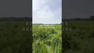 Miniature : L'IA : reconnecter avec la nature