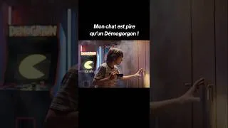Miniature : Mon chat est pire qu’un Démogorgon ! #humour