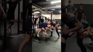 Miniature : projection de lutte . wrestling throw. takedown in grappling