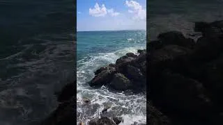 Miniature : Jamaica! You beauty!