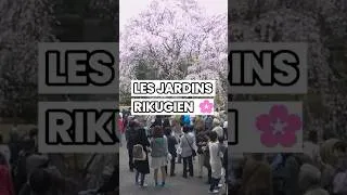 Miniature : Les jardins Rikugien font partie des plus beaux jardins de Tokyo. 🌸 #tokyo #vlogjapon #sakura #vlog