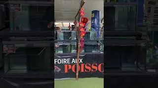 Miniature : FOIRE AUX POISSONS 2026 JARDILAND NOUMEA