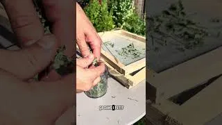 Miniature : Herbes de Provence maison
