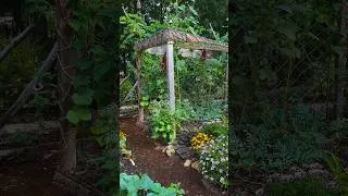 Miniature : La magie du jardin 💚 #garden