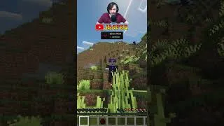 Miniature : GROS KARMA APRÈS LES ARAIGNEES ! #minecraft