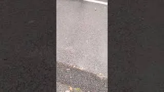 Miniature : quand une canalisation enterrer d'air comprimé se perce