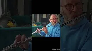 Miniature : Mozart-Rodo Alla Turca- Cover flûte traversière  #music #flute #guitar